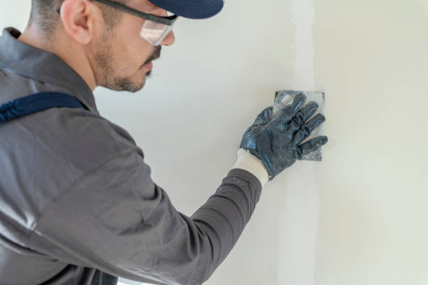 Best Fire-Damaged Drywall Repair  in Celina, TN